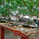 photo 2022-06-01 14-49-20