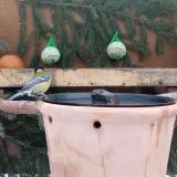 photo 2024-01-22 08-21-31