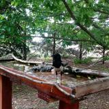 photo 2022-05-30 13-28-31