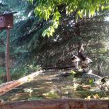 photo 2023-05-24 06-09-17