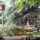 photo 2023-05-17 18-22-55