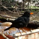 photo 2022-04-06 12-37-15 rigo