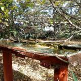 photo 2022-10-17 14-02-53