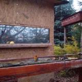 photo 2022-11-13 16-22-42