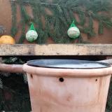 photo 2024-01-14 09-07-31