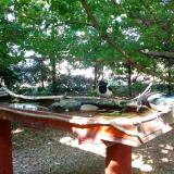 photo 2022-06-05 16-21-16