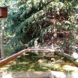 photo 2023-09-29 13-58-47