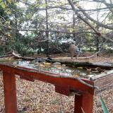 photo 2022-10-22 08-44-42