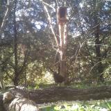 photo 2024-09-30 15-11-06