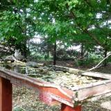 photo 2022-05-08 17-03-06