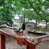 photo 2022-05-30 13-58-53