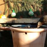 photo 2024-01-11 13-15-44