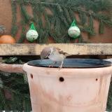 photo 2024-01-23 10-48-47