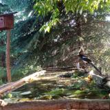 photo 2023-05-25 06-30-44