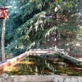 photo 2023-09-27 10-30-57