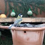 photo 2024-01-08 10-27-27