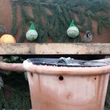 photo 2024-01-08 09-32-45