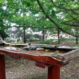 photo 2022-06-05 10-59-36