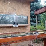 photo 2022-11-03 13-59-27