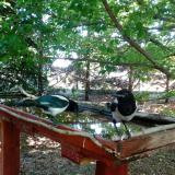 photo 2022-06-03 10-44-27