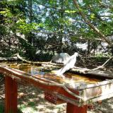 photo 2022-04-14 13-31-30