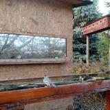 photo 2022-11-28 14-26-11