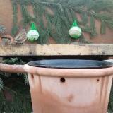 photo 2024-01-25 07-58-18