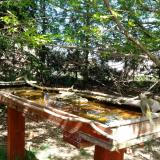 photo 2022-04-14 13-43-53