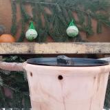 photo 2024-01-22 08-27-07