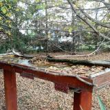 photo 2022-10-19 14-16-58