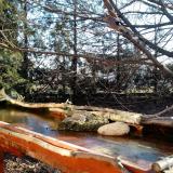 photo 2022-02-24 08-21-09