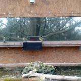 photo 2023-12-05 13-24-13