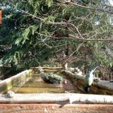 photo 2023-03-13 08-58-52