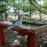 photo 2022-06-29 09-06-17