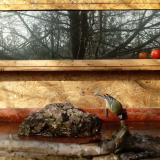 photo 2022-02-06 10-11-07