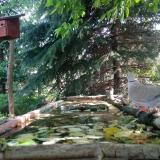 photo 2023-05-11 09-29-52