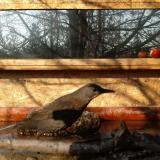 photo 2022-02-13 09-37-36