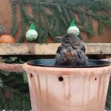 photo 2024-01-24 09-13-14