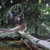 photo 2023-09-03 18-43-53