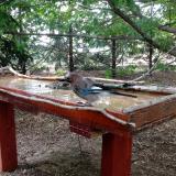 photo 2022-07-01 16-26-56