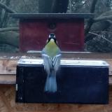 photo 2022-12-11 14-36-52