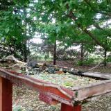 photo 2022-05-09 13-31-36