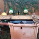 photo 2023-12-28 08-55-29