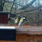 photo 2022-12-25 12-57-38