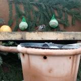 photo 2024-01-08 12-21-12