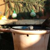 photo 2024-01-11 13-14-54