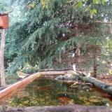 photo 2023-09-25 09-38-35