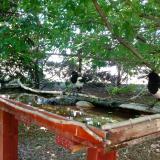 photo 2022-06-01 12-57-44