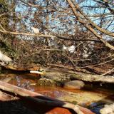 photo 2022-02-16 14-25-43