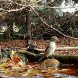 photo 2022-10-24 12-29-15